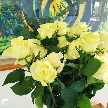 Complex Vicor Apartment