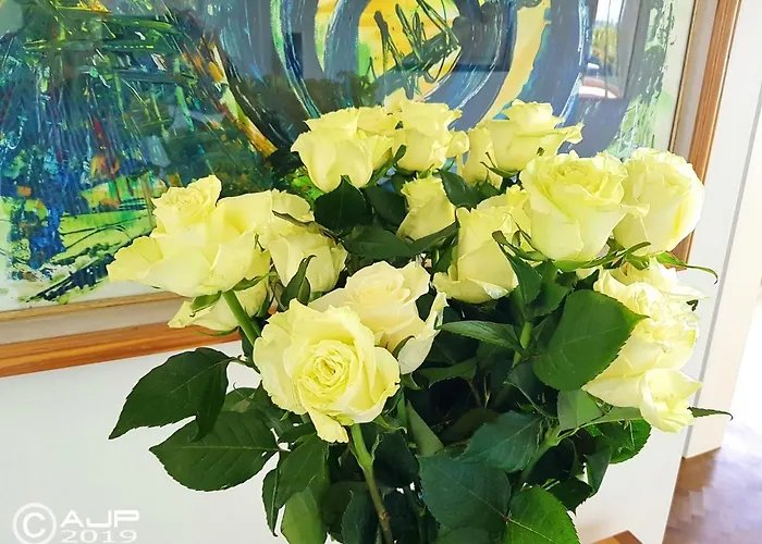 Complex Vicor Lejlighed