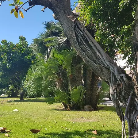 Complex Vicor Vilassar De Mar